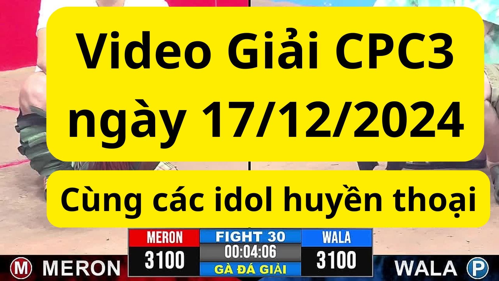 Giải đá gà CPC3 ngày 17/12/2024 - Xem đá gà trực tiếp hôm nay